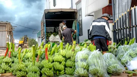 Unveiling the 9,000km Journey of Bananas to Your Basket
