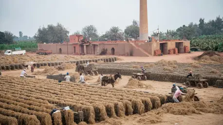 Egypt Unveils Integrated National Financing Strategy for SDGs