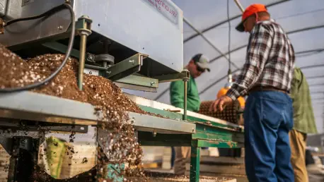 Can You Lead as Operations Director in Construction?