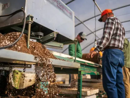 Can You Lead as Operations Director in Construction?